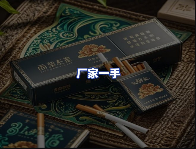 专业团队